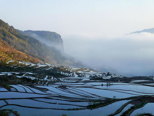云南礦產(chǎn)資源費(fèi)及評估費(fèi)收取標(biāo)準(zhǔn)